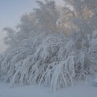 Зимним вечером :: Сергей Герасимов