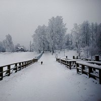 Зимний день :: Сергей Кочнев