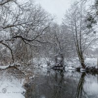 Река Нежеголь зимой :: Игорь Сарапулов