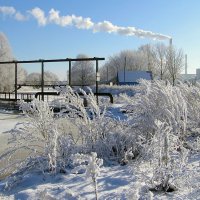 Морозный день :: Геннадий Худолеев Худолеев Морозный день :: Геннадий Худолеев Худолеев