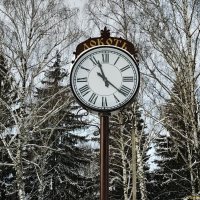 Часы среди природы :: Елена Сухорученкова