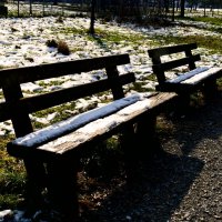 Южная зима - 1 :: Алексей Кузнецов