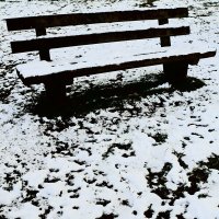 Южная зима - 4 :: Алексей Кузнецов