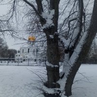 Зима :: Сапсан 