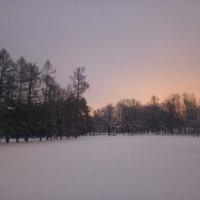 Зима :: Сапсан 