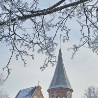 Калининград. Кафедральный собор. :: Михаил Свиденцов