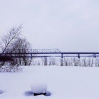 Вид на автодорожный мост с левого берега Юганской Оби. :: Владимир 