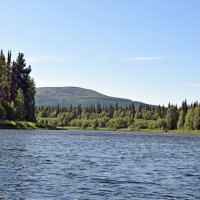 Уходим от Тима из. :: ВикТор Быстров