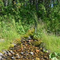 Ручей. :: ВикТор Быстров