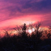 Яркое утро :: Людмила Смородинская