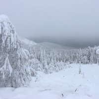 Пасмурный день :: Галина Ильясова Пасмурный день :: Галина Ильясова