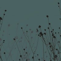 сумерки :: Николай Семёнов сумерки :: Николай Семёнов