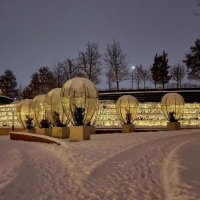 Выбор :: Екатерина Леш