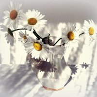 ... :: TAMARA КАДАНОВА