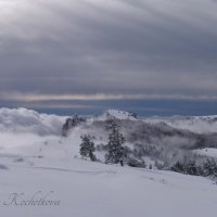 Природа Крыма :: Amazing Cosmea Природа Крыма :: Amazing Cosmea