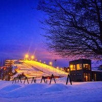 Silent Winter Dusk :: Aлёна V