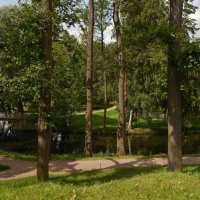 Павловск. Парк :: Константин 