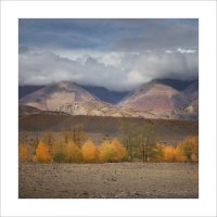 * :: Александр Иванов