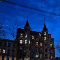 В сумерках все выглядит иначе! :: Ольга 