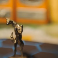 Веселая лошадка. :: Николай 