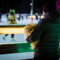 зрители на катке :: Артём Евтюхов