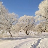 Дорога к озеру :: Игорь Сычёв