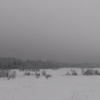 без названия :: fogmeadowww m