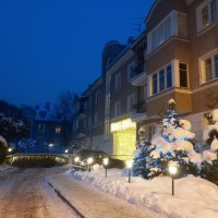 Зима :: Сапсан 