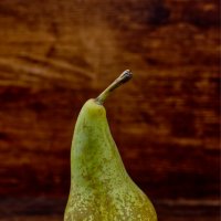 (°-°) :: Jakob Dick