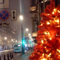 На Невском :: Игорь Корф