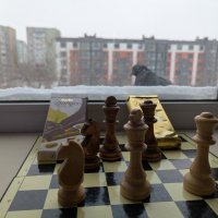 Шахматы :: Андрей Хлопонин