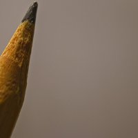 На карандаш :: Giant Tao /