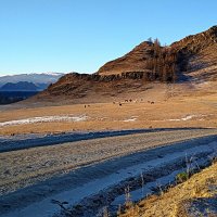 Зимними дорогами по Алтаю :: Татьяна Лютаева