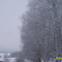 без названия :: fogmeadowww m