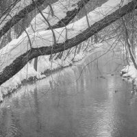 У Тихой Воды :: юрий поляков