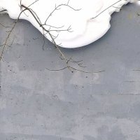 Причудливые формы снега. :: Любимова Ольга 