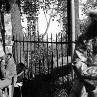 .... :: Юрий Самсонов