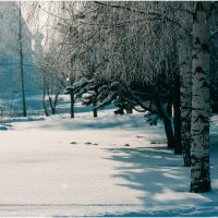 Снежная зима. Суздаль :: Вячеслав Владимирович