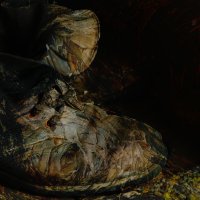 Башмаки Ван Гога :: Vanya Zhukov