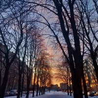 Закат :: Сапсан 