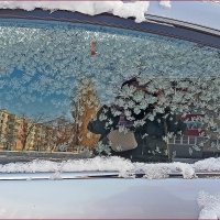 Интересный кадр! :: Валентина  Нефёдова 