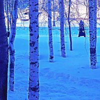 Утром в Крещенский мороз! :: Владимир 