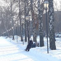 зима :: Венера Чуйкова