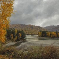 Пасмурный день :: елена беликова Пасмурный день :: елена беликова