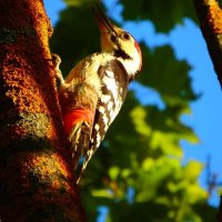 Утро. :: Михаил Колосов 