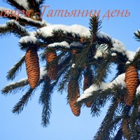 Морозный зимний праздник :: Татьяна Лютаева Морозный зимний праздник :: Татьяна Лютаева