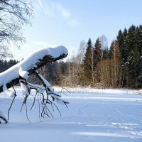 Зимний пейзаж. :: Милешкин Владимир Алексеевич Зимний пейзаж. :: Милешкин Владимир Алексеевич
