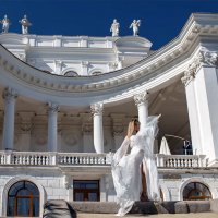 Грация... :: Ron Nessi 