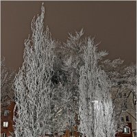 Вечер. :: Валерия Комова