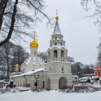 Донской монастырь :: Константин Анисимов